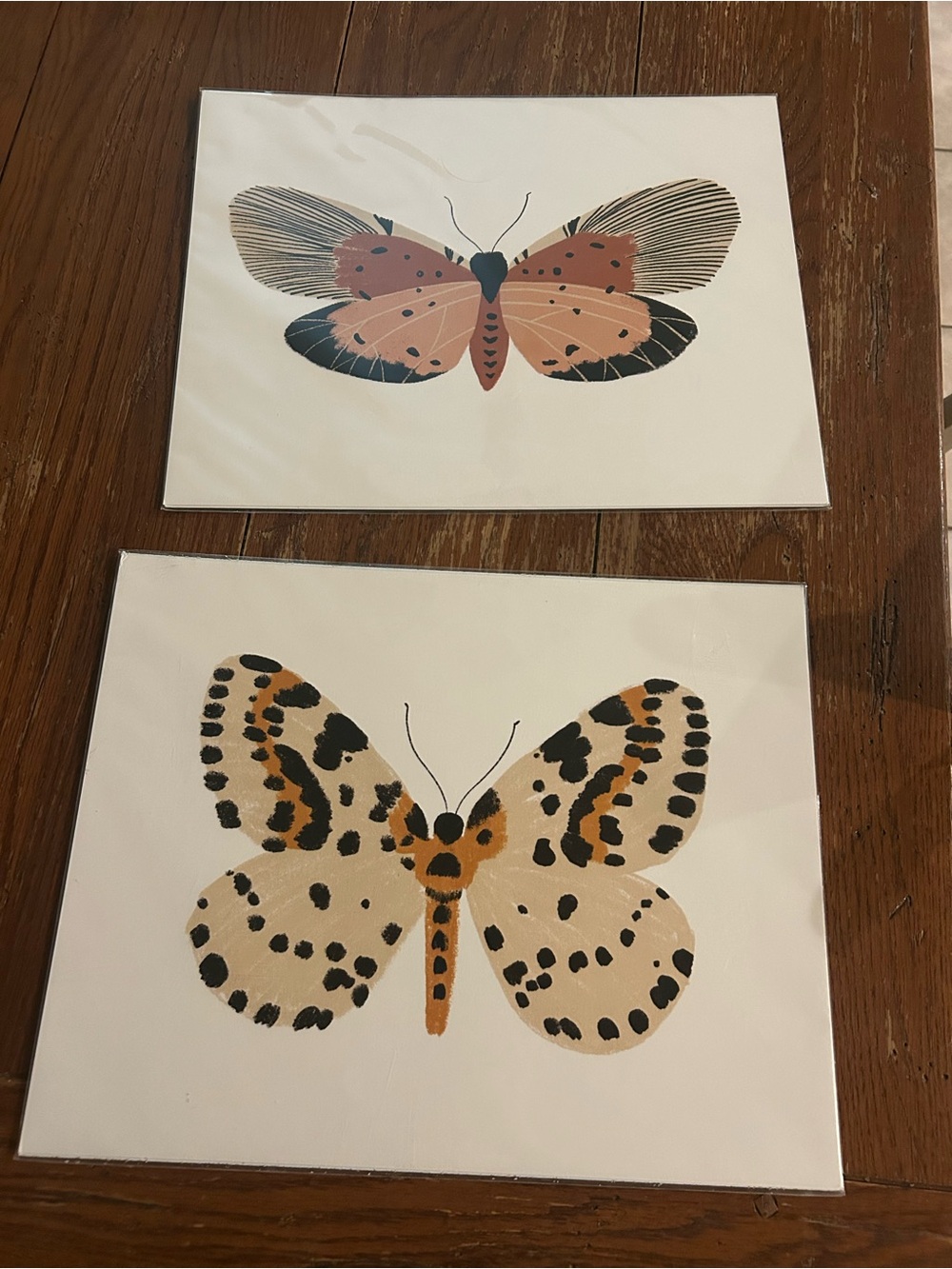 NWT Butterfly clementine kids Wall Art Prints - Set of 2 in Peach, Tan, Black